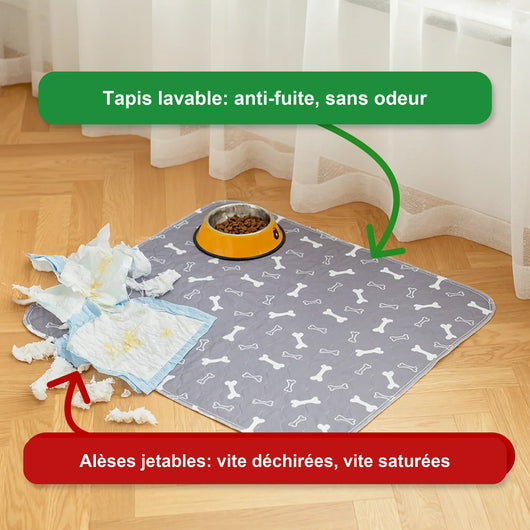 Le seul tapis de propreté dont votre chien aura besoin