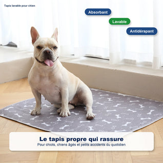 Le seul tapis de propreté dont votre chien aura besoin