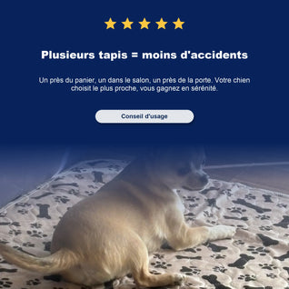 Le seul tapis de propreté dont votre chien aura besoin