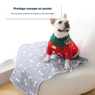 Le seul tapis de propreté dont votre chien aura besoin