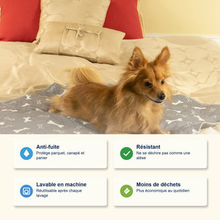 Le seul tapis de propreté dont votre chien aura besoin