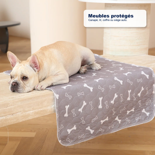 Le seul tapis de propreté dont votre chien aura besoin