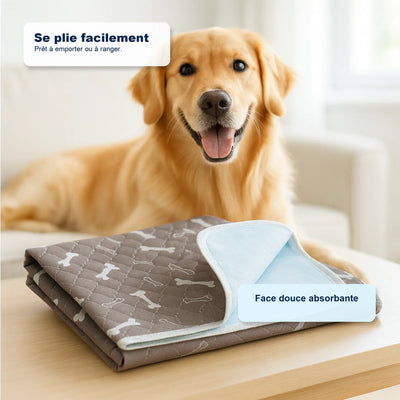 Le seul tapis de propreté dont votre chien aura besoin