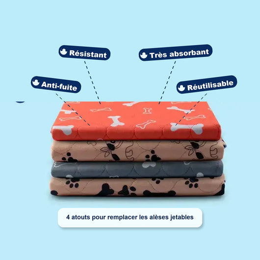 Le seul tapis de propreté dont votre chien aura besoin