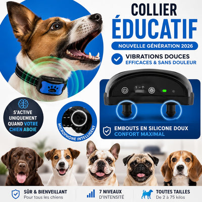Collier anti-aboiement sans décharge pour chien