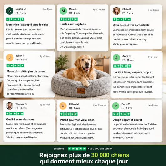 Panier Anti-Stress pour Chien – Coussin Apaisant