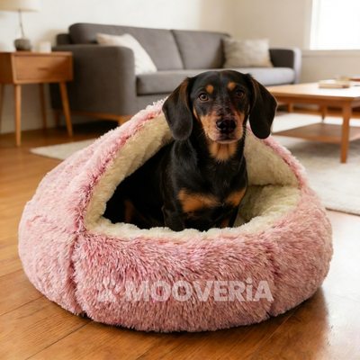 Panier Cocon Apaisant pour Chien