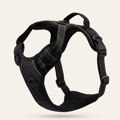 Harnais pour chien Mooveria
