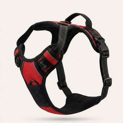 Harnais pour chien Mooveria