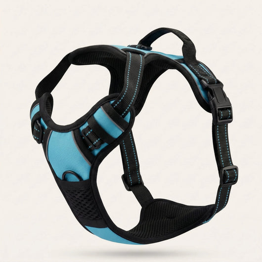 Harnais pour chien Mooveria