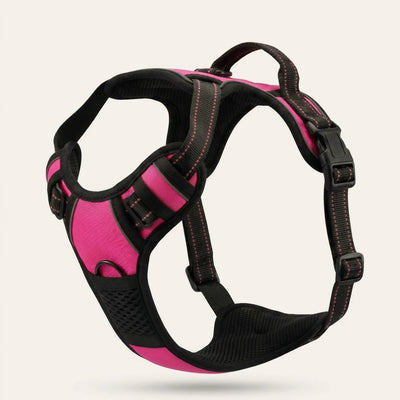 Harnais pour chien Mooveria