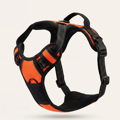 Harnais pour chien Mooveria