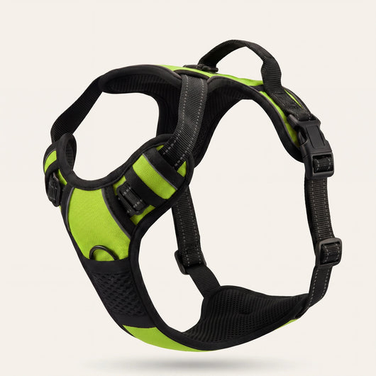 Harnais pour chien Mooveria