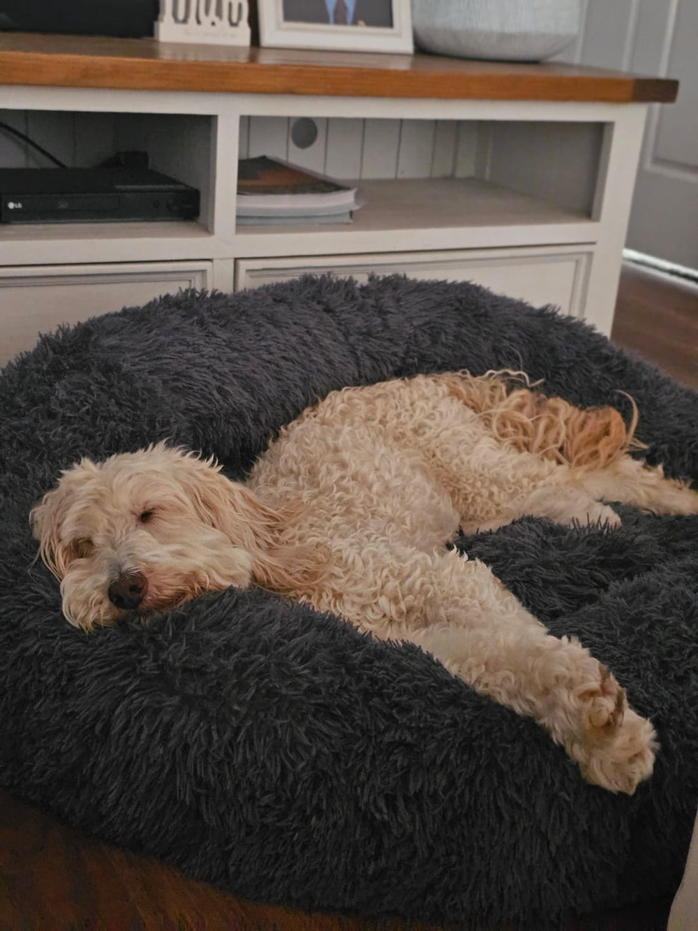 Et si son panier jouait un rôle dans son niveau de stress ?