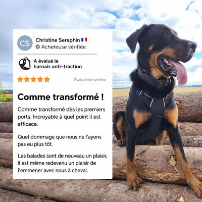 Harnais pour chien Mooveria