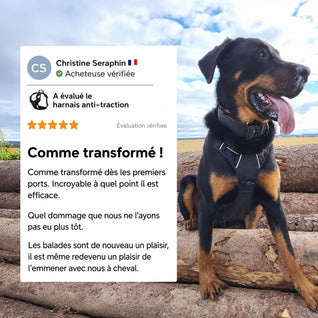 Harnais pour chien Mooveria