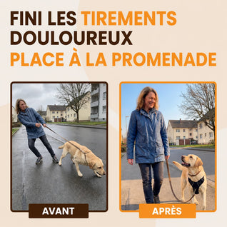 Harnais pour chien Mooveria