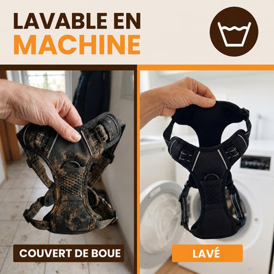 Harnais pour chien Mooveria