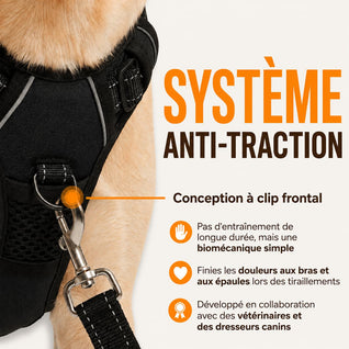 Harnais pour chien Mooveria