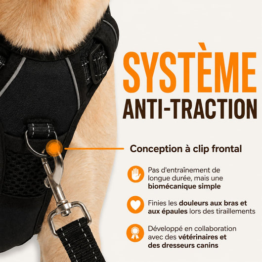 Harnais pour chien Mooveria