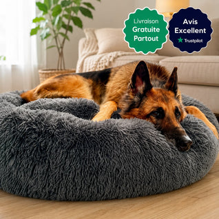 Panier Anti-Stress pour Chien – Coussin Apaisant