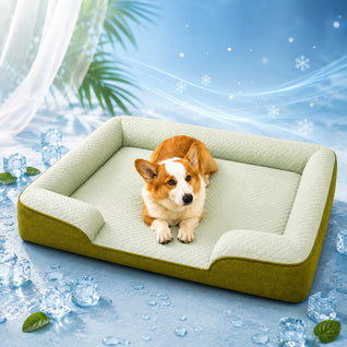 Panier Fraîcheur pour Chien – Confort Été