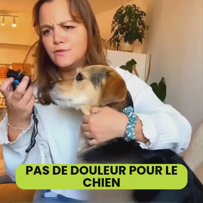 Collier Anti-Aboiement sans décharge électrique pour petit et grand chien